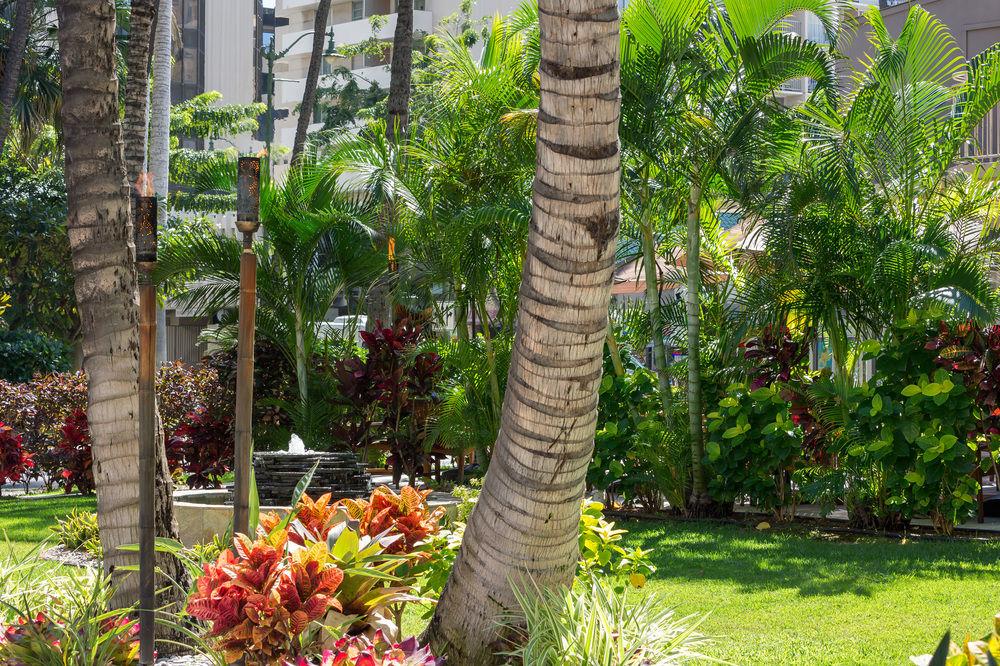 Courtyard By Marriott Waikiki Beach Гонолулу Экстерьер фото